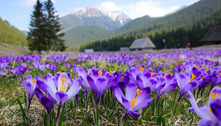 Začiatok prípravy projektu